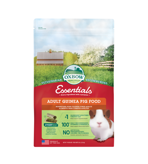 Oxbow Adult Guinea Pig