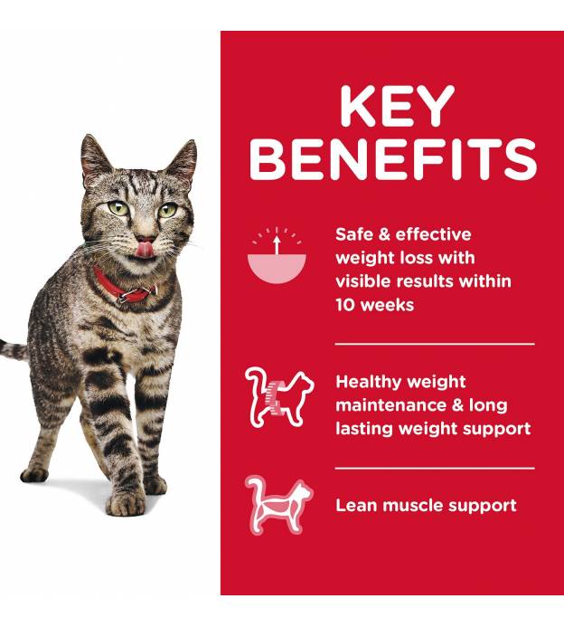For Cat Sales