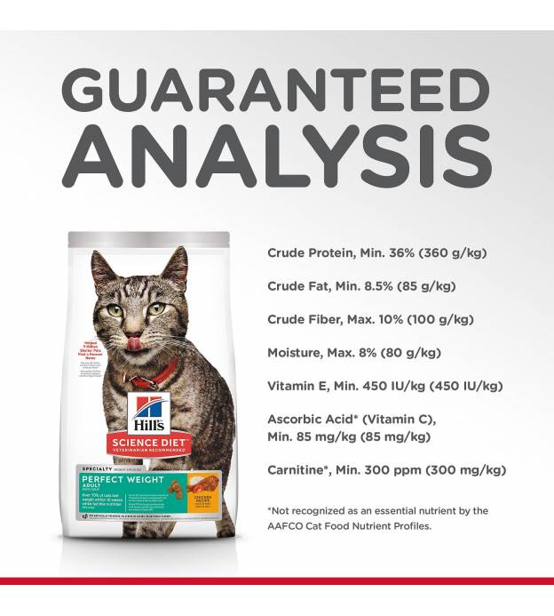 For Cat Sales