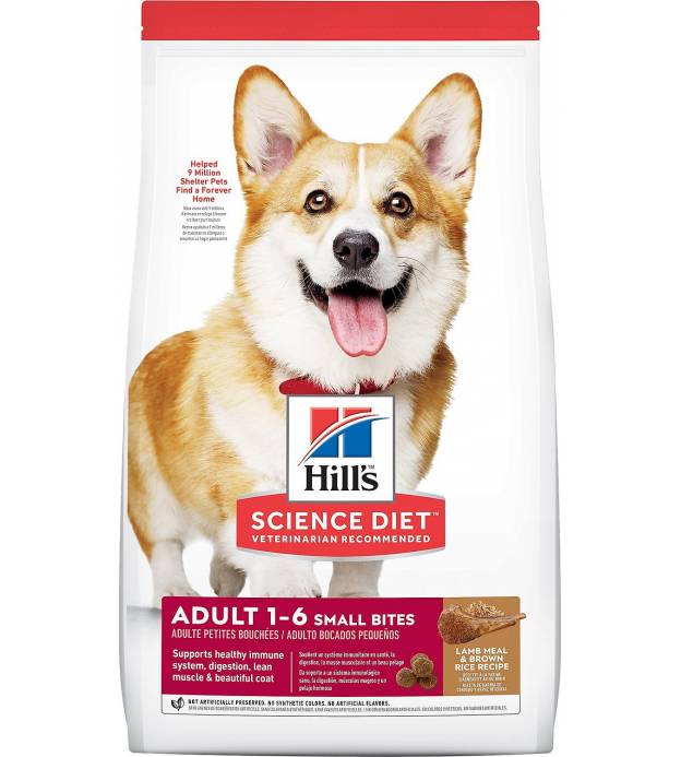 Science Diet Canine Adult Lamb and Rice Small Bite