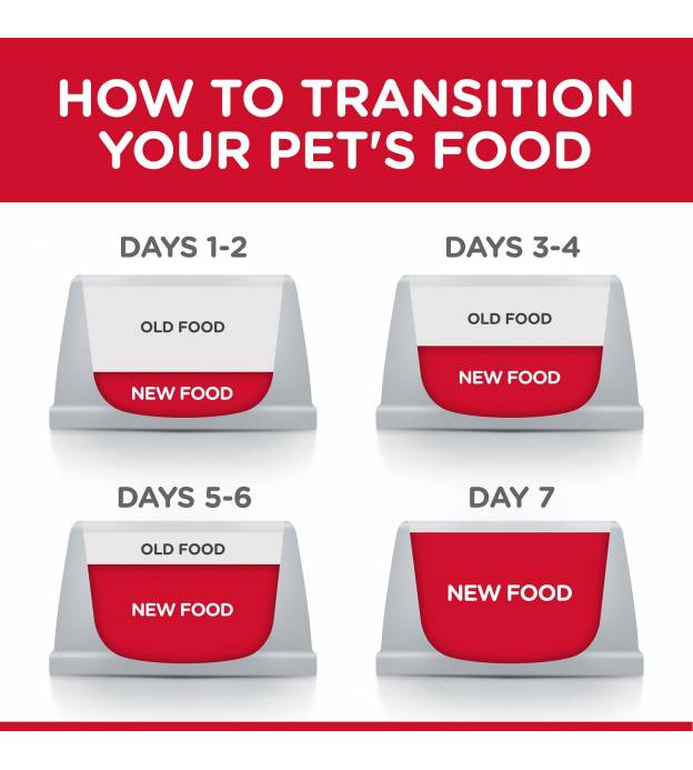 For Dog Sales