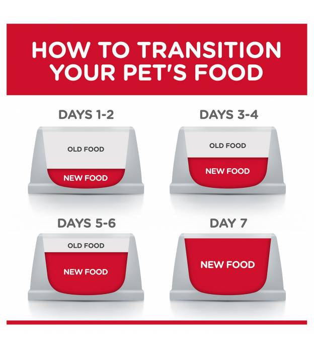 For Dog Sales